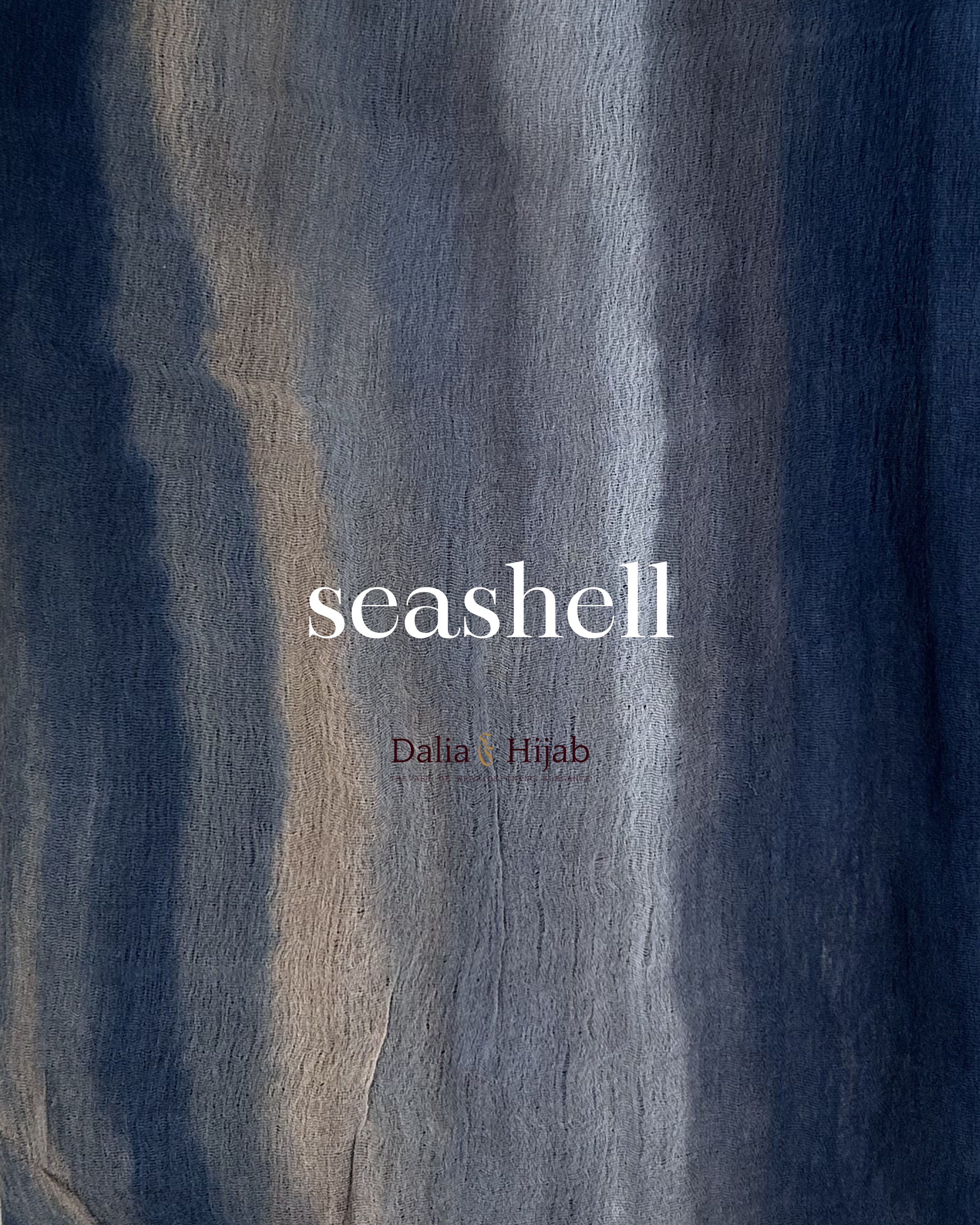Seashell